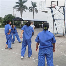 顺达公司员工业余活动